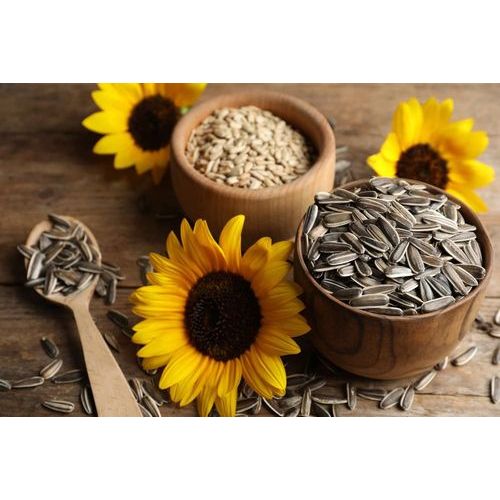 SUNFLOWER SEED